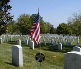 Grave_Marker__Stick_Flag_Arlington