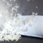 feather pillow